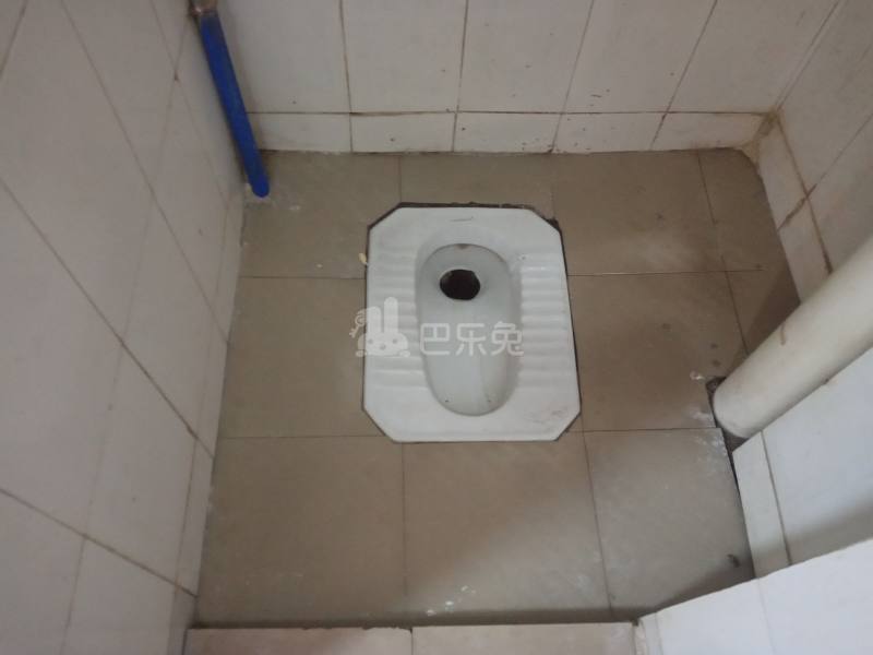 三元里棠溪南天九巷10号6096852卫生间图10