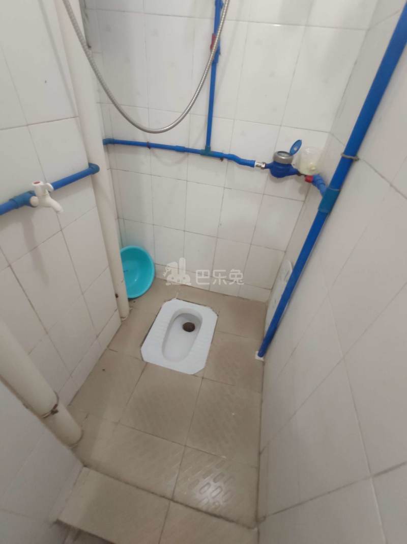 三元里棠溪南天九巷10号6096853卫生间图6