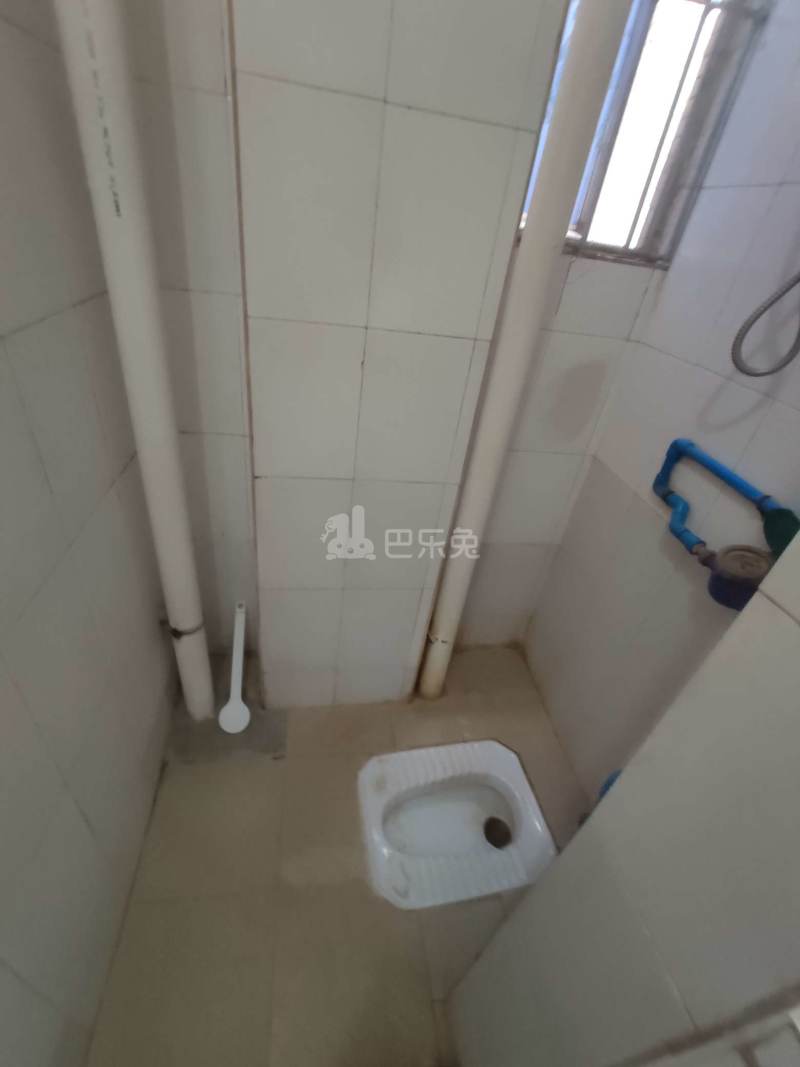 三元里棠溪南天九巷10号6096865卫生间图6