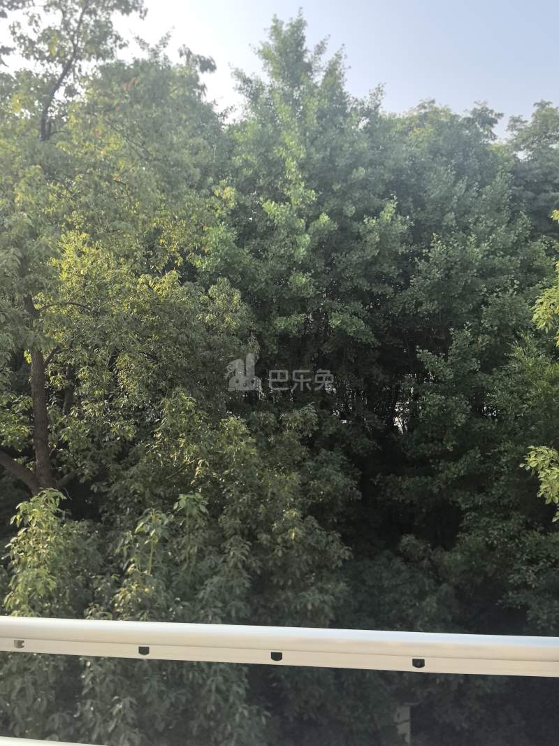 祥和公寓（横港公路）6131792周边环境图5