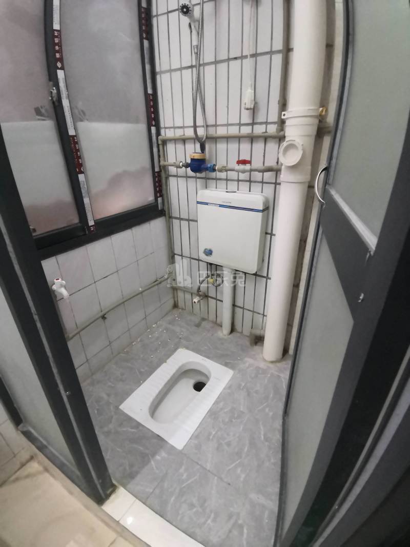 江夏松猫岭一巷6号6137249卫生间图5