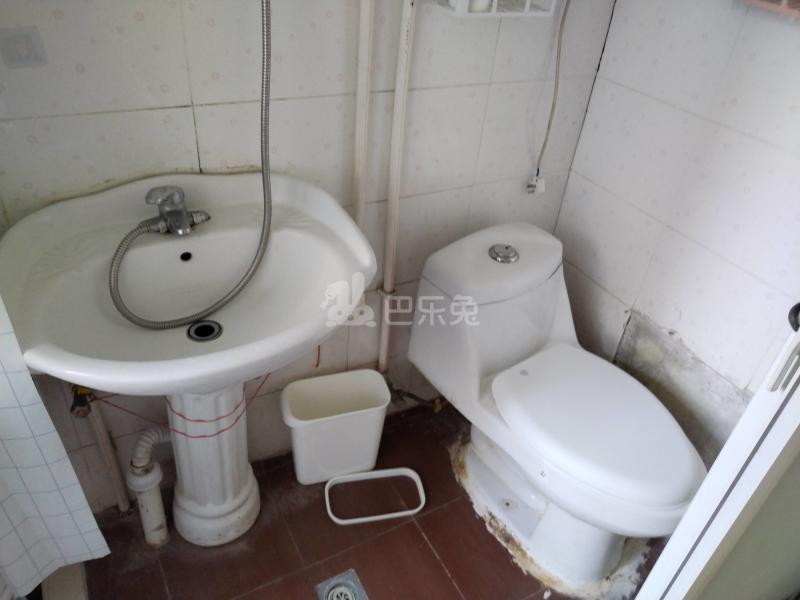 大华锦绣华城第四街区（振东花苑小区）613019卫生间图4