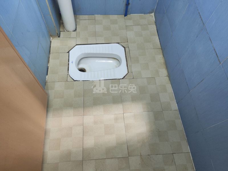 江夏村仁忠里17号6148194卫生间图16