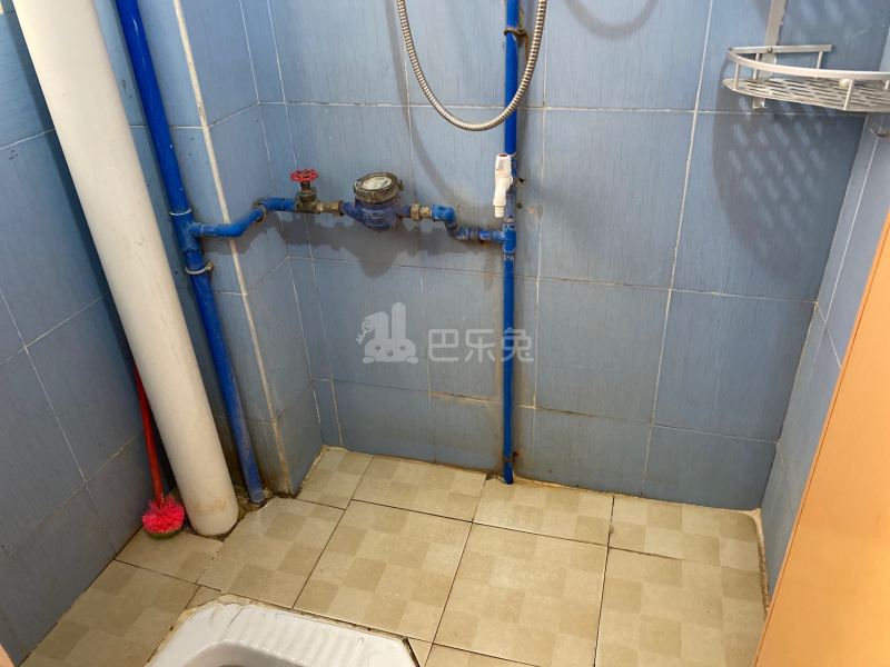 江夏村仁忠里17号6148198卫生间图11