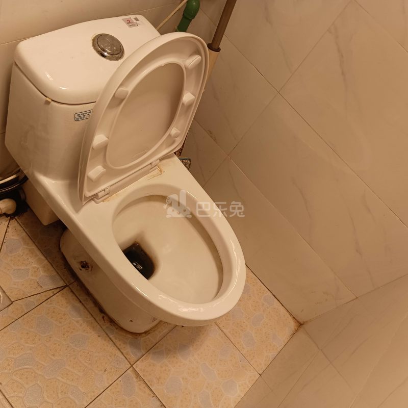 虹祺花苑6159726卫生间图4