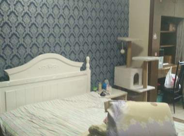 宁康家园（共和新路2169弄） 2室1厅1卫