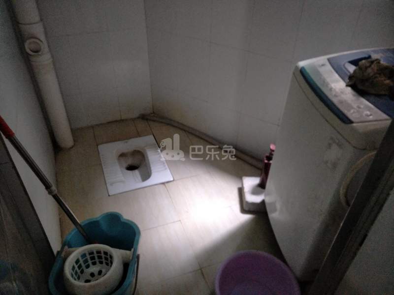 嘉禾望岗杨村园街10号之一6179046卫生间图8