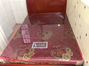 棠下儒林大街四巷7号 1室1厅1卫