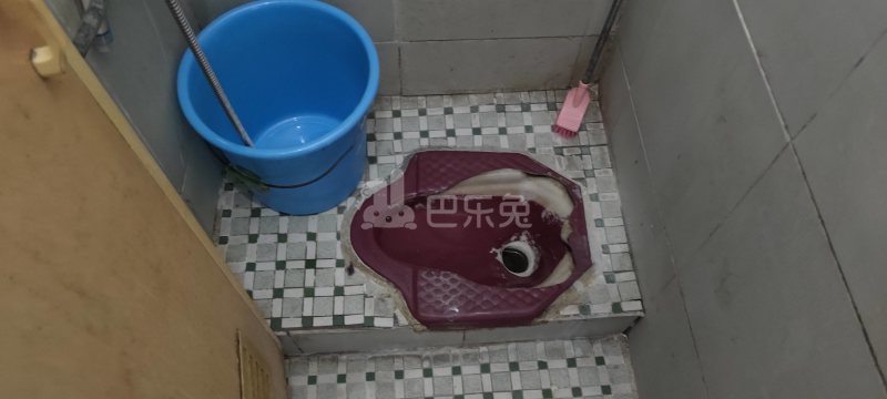 江夏村大塘大街30号6198676卫生间图8