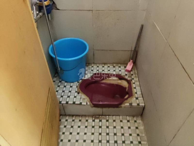 江夏村大塘大街30号6198676卫生间图10