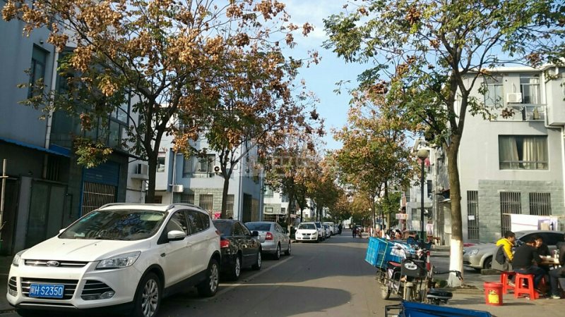 西郊家园（青浦）13949714周边环境图7