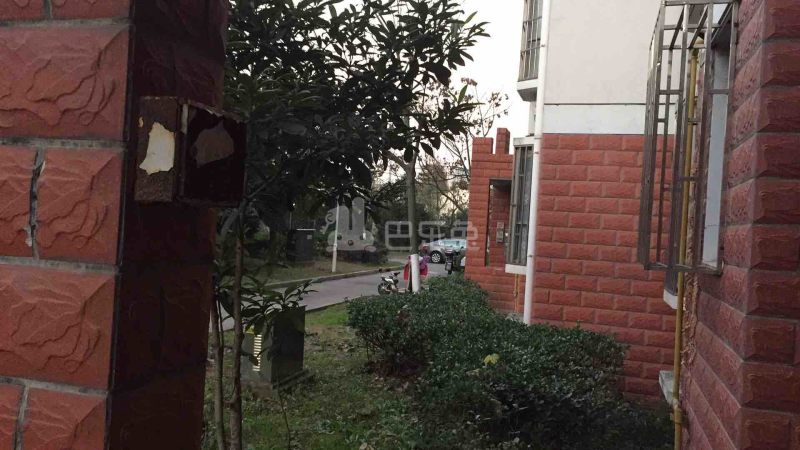 民区路265弄（极景易家）5031419周边环境图8