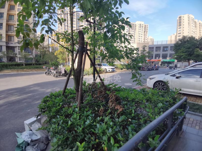 美罗家园保申苑6209695周边环境图23