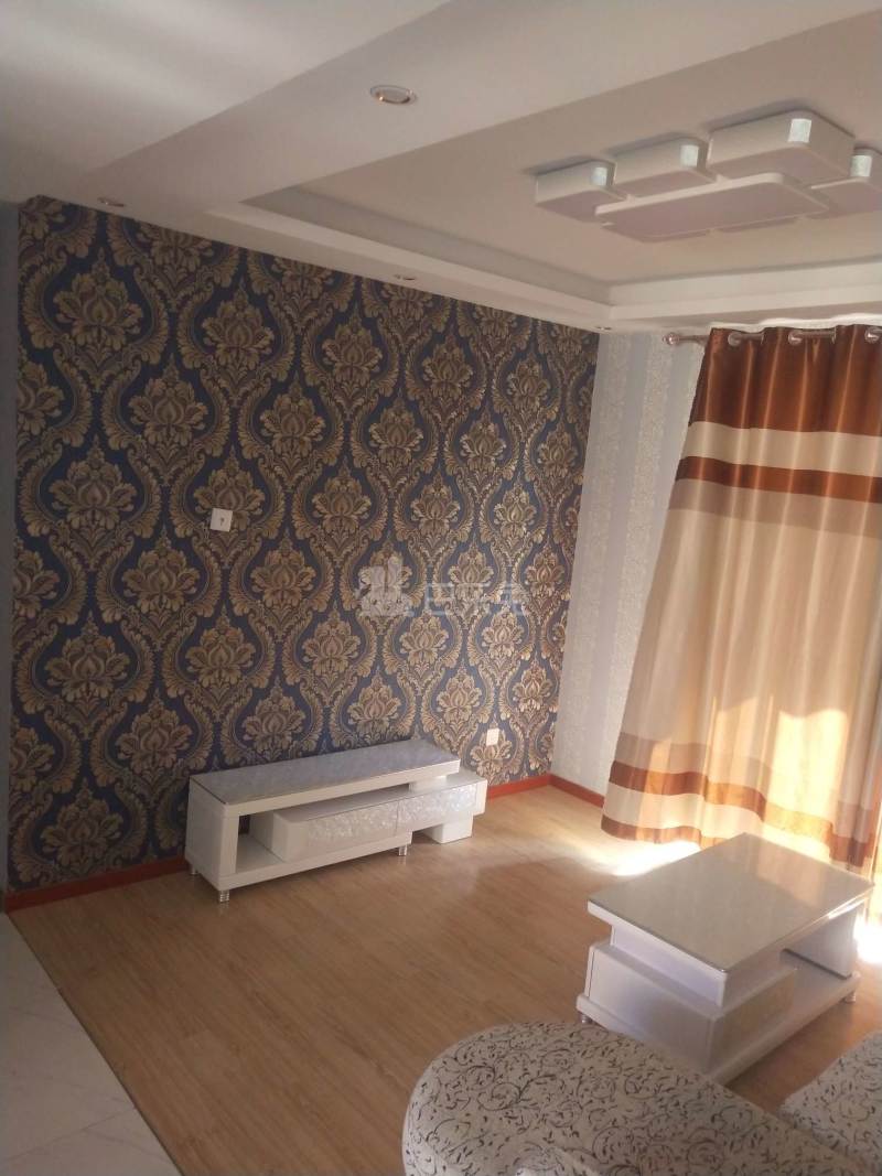 美罗家园保申苑6209695客厅图14