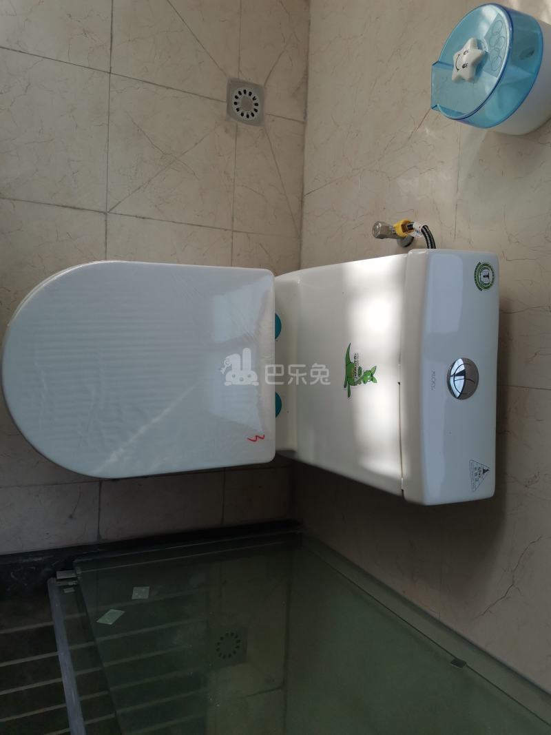 江夏村东一街十巷6号6216089卫生间图12