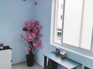 杨思地铁公寓 1室0厅1卫