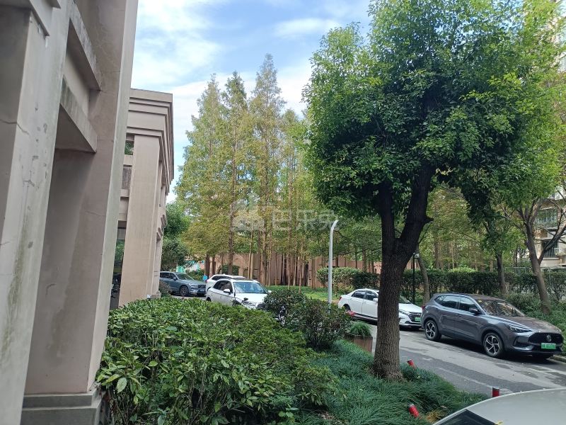 金桥新城622828周边环境图19