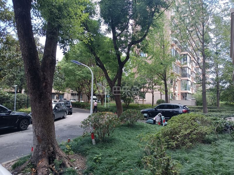 金桥新城622828周边环境图20