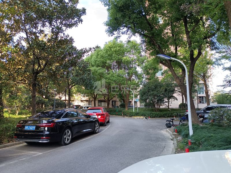 金桥新城622828周边环境图17