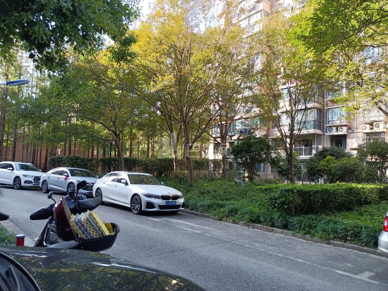 金桥新城622828周边环境图18