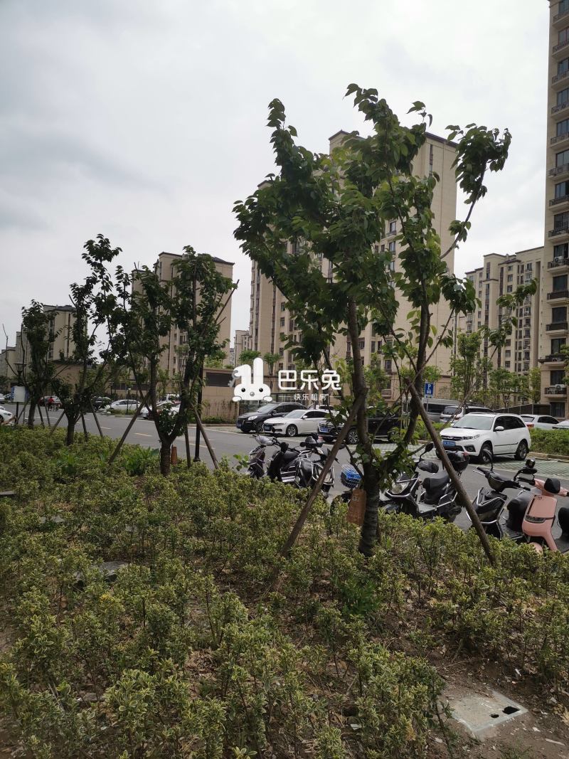 松江出租房 九亭出租房 启民苑