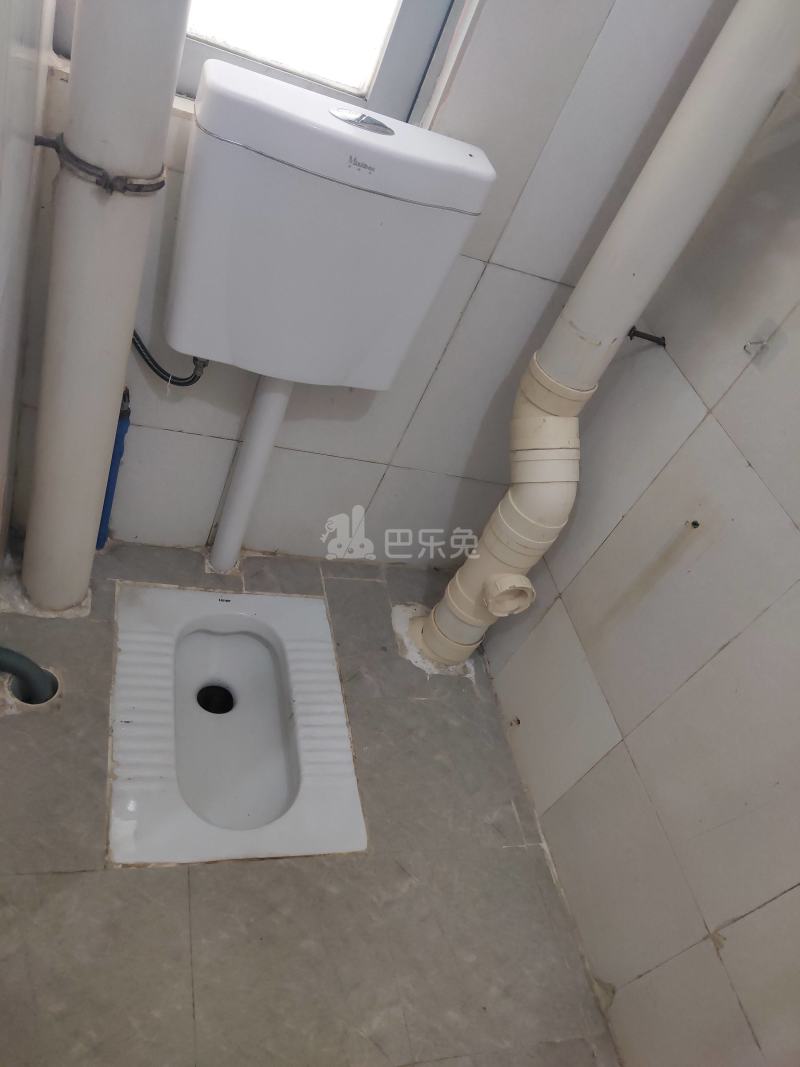 江夏村四约3-3号6248018卫生间图8