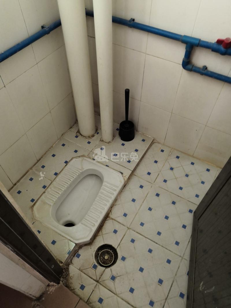 柯木塱背坪老屋街10号6258849卫生间图7