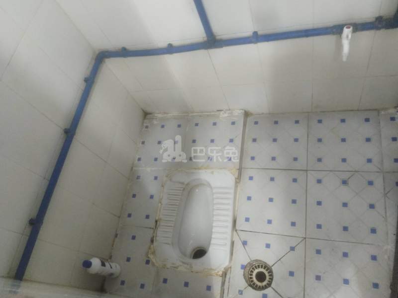 柯木塱背坪老屋街10号6258856卫生间图7