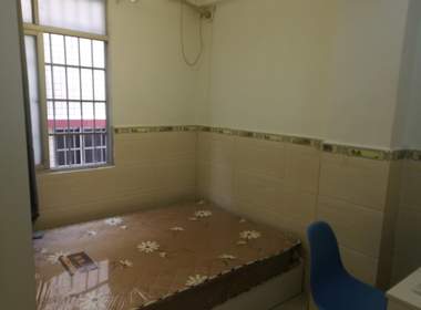 珠村中东新街三巷6号D栋 