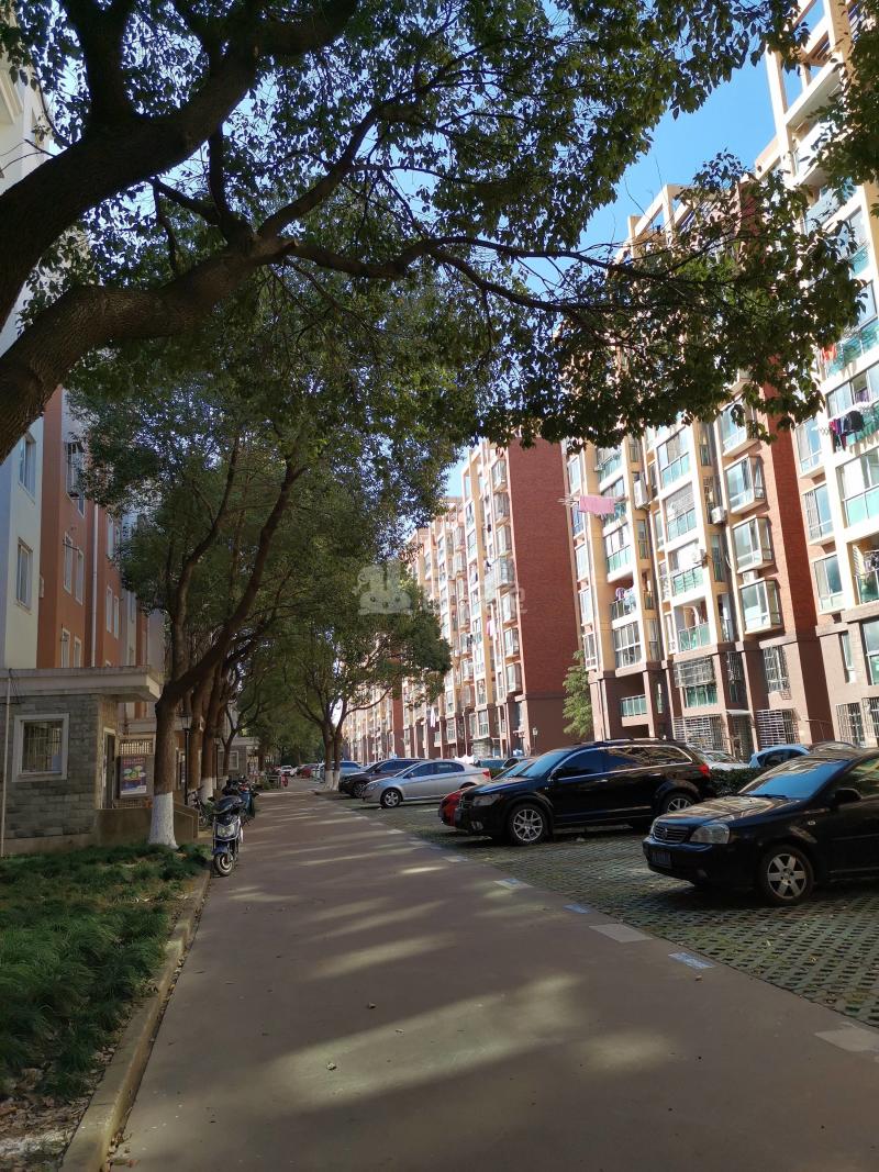 金榜新苑6266888周边环境图11