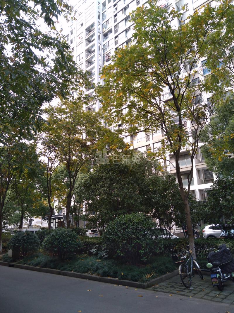 远香舫新苑6293026周边环境图11