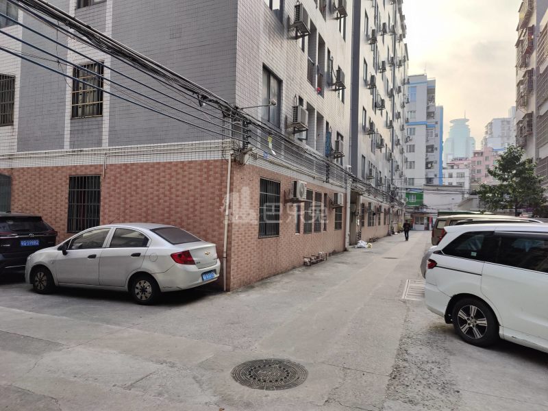 石牌东苑小区12346836周边环境图4