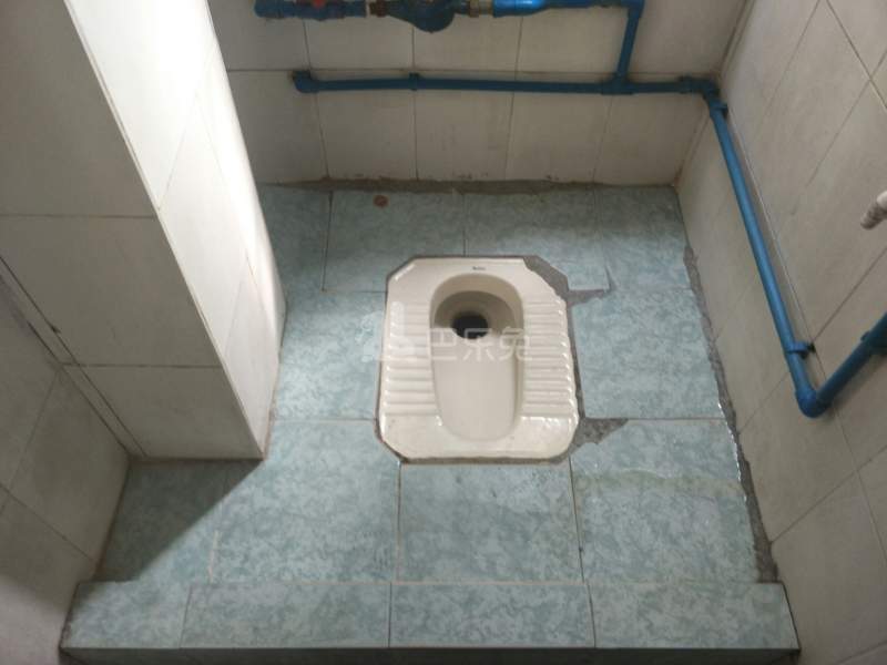 葛氏公寓（红卫新村西安三巷4号）6297631卫生间图7