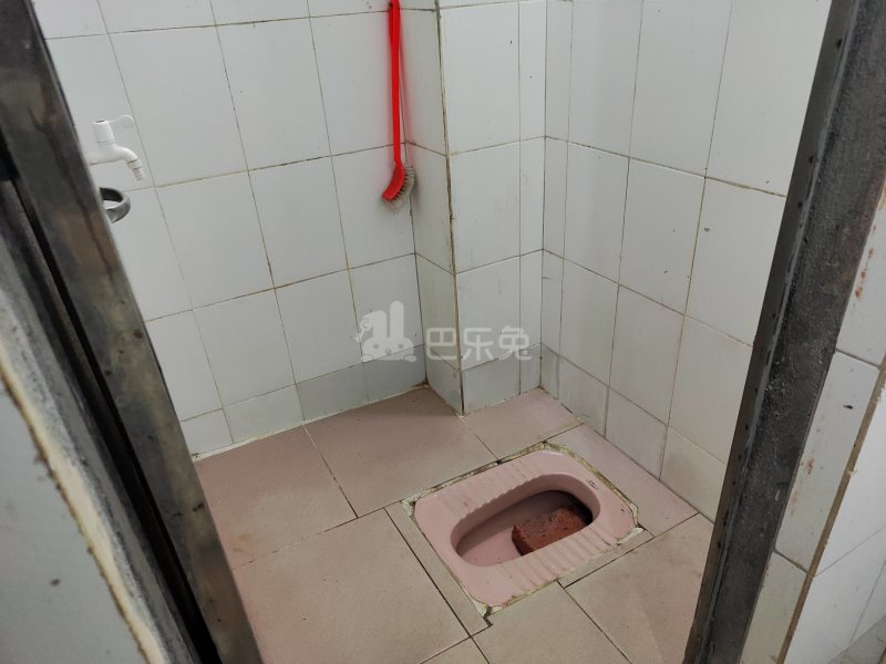 大埔东约四巷11号6314917卫生间图5