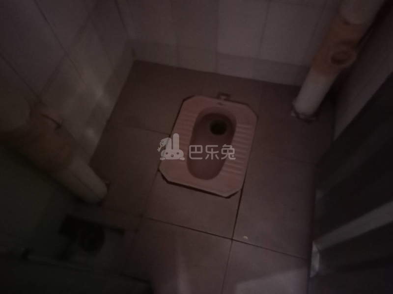 大埔东约四巷11号6314925卫生间图10