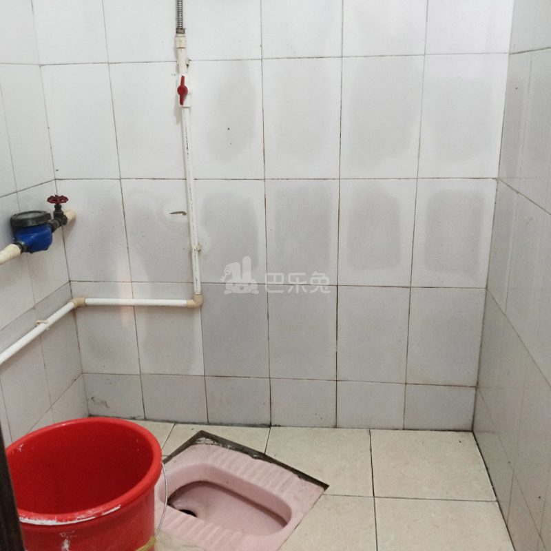 大埔南一街七巷12号6314943卫生间图7