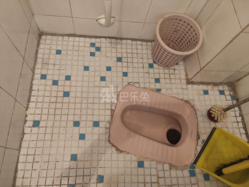 大埔南一街七巷12号6314947卫生间图7