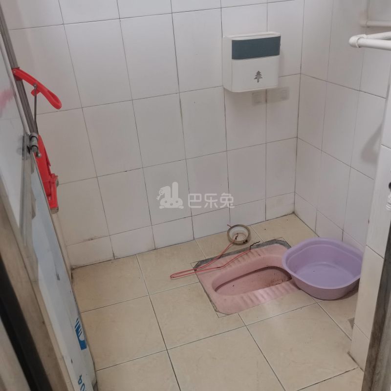 大埔南一街七巷12号6314951卫生间图4