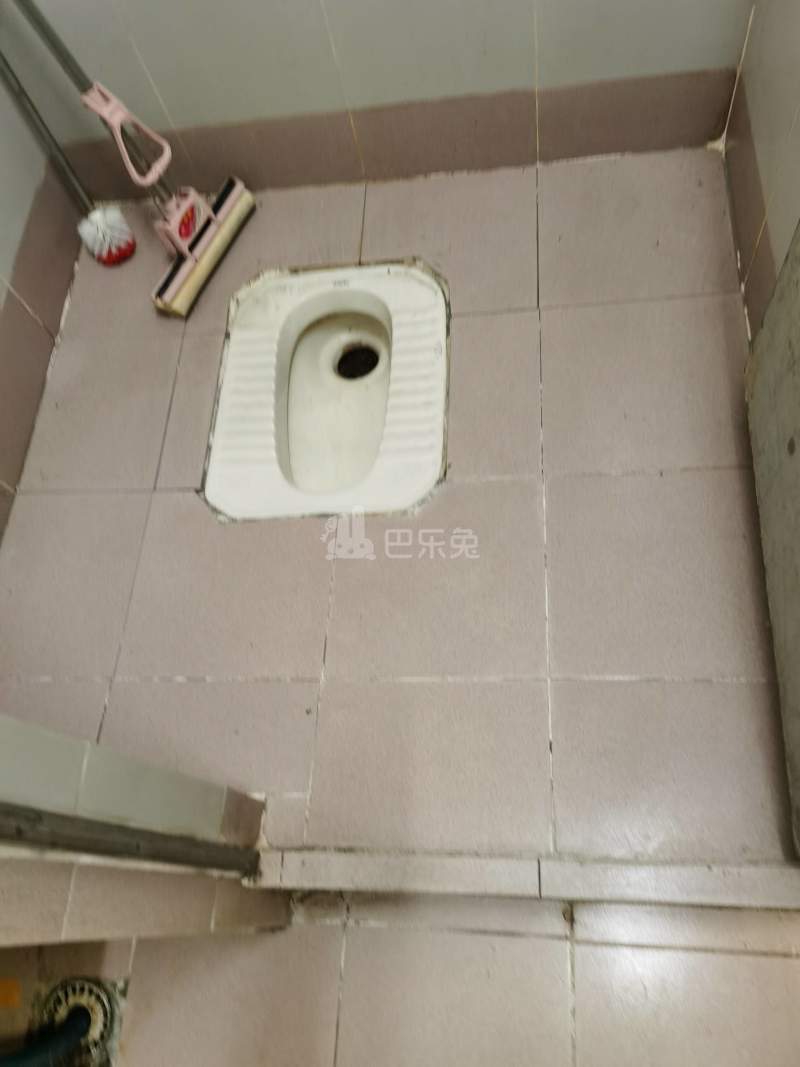 大埔塘边街六巷2号6314998卫生间图13