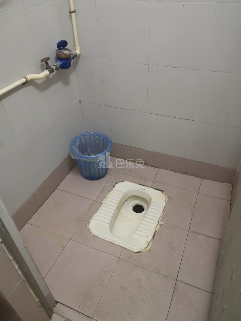 大埔塘边街六巷2号6315009卫生间图8