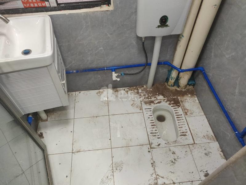 石牌笃行大街一巷17号6323036卫生间图11