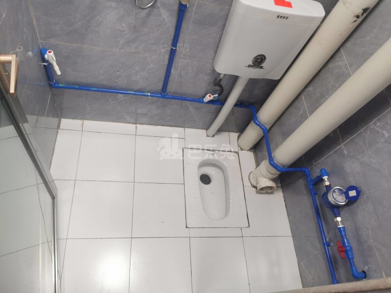 石牌笃行大街一巷7号6323069卫生间图12