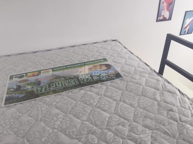 石牌笃行大街一巷7号6323069卧室图5