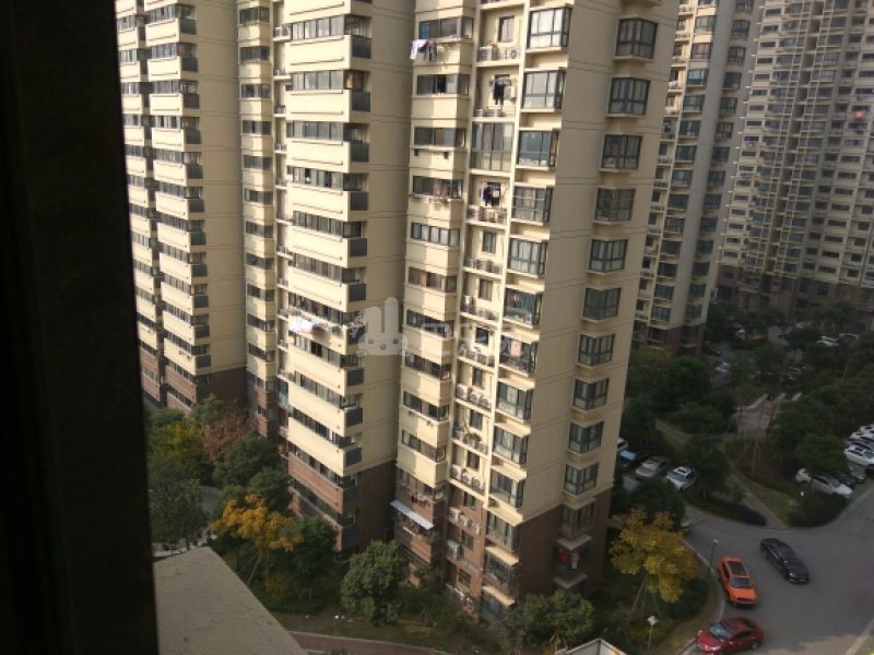 华悦家园南区1819554周边环境图11