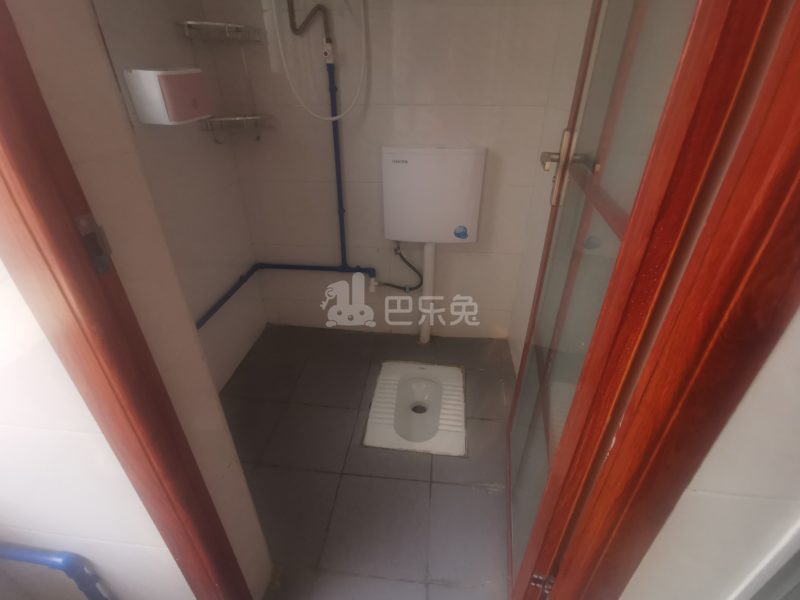 江夏村北三路4号6335438卫生间图3