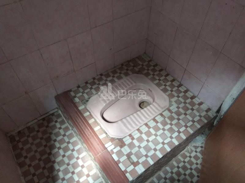 江夏村大塘四巷10号6340367卫生间图11