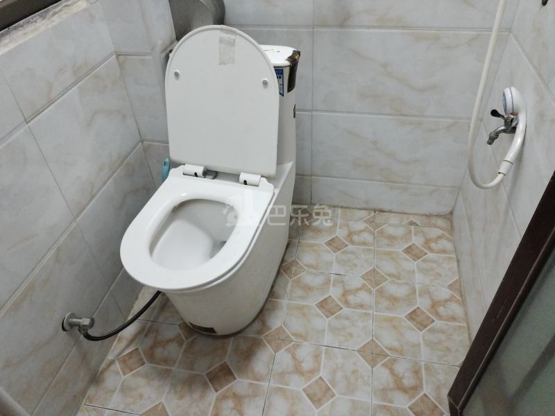 鹤边员村龙塘街四巷16号6349547卫生间图10