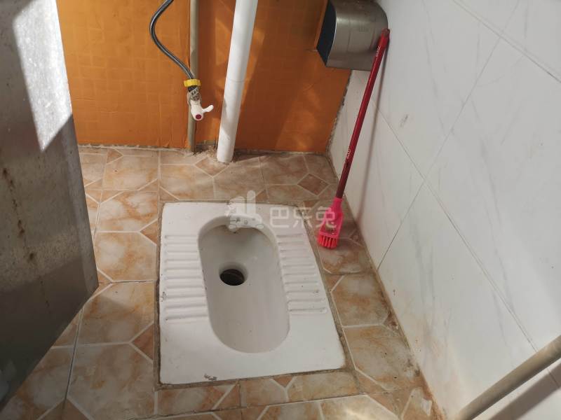 鹤边员村龙塘街四巷16号6349566卫生间图5