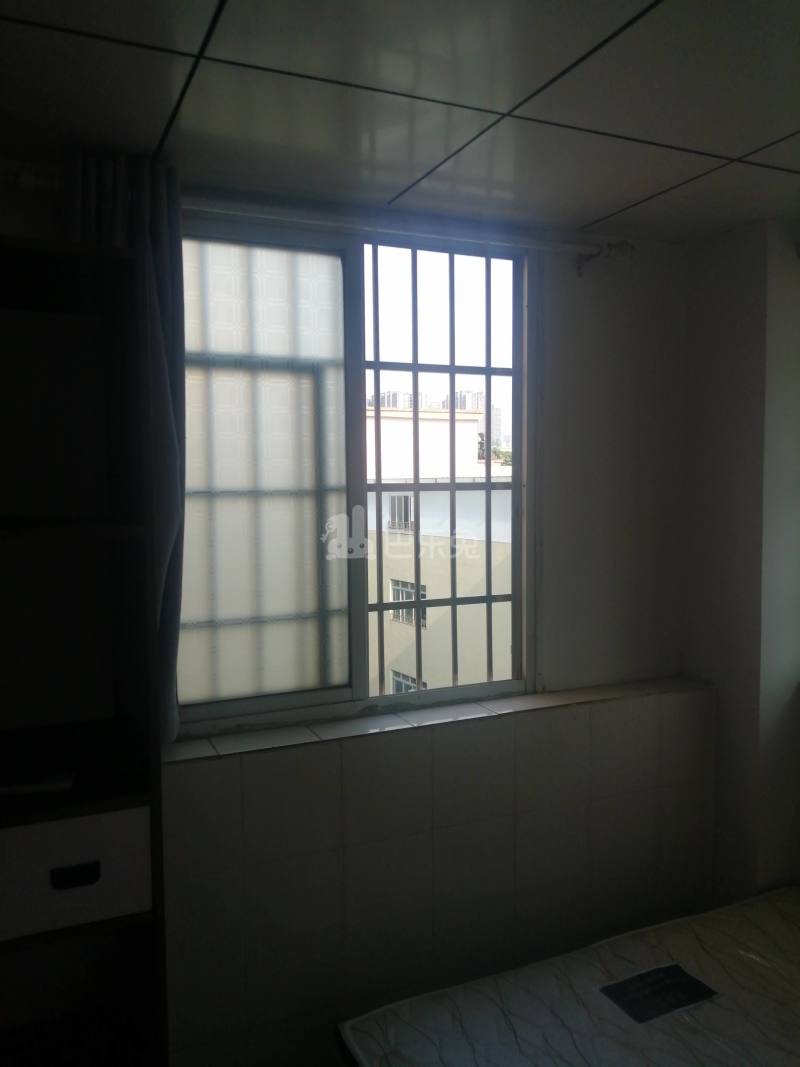 大石礼村中路16号6361534卧室窗户图7