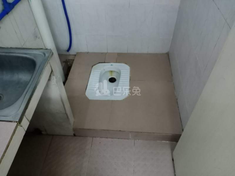 石牌村兰桂坊1号6393731卫生间图5